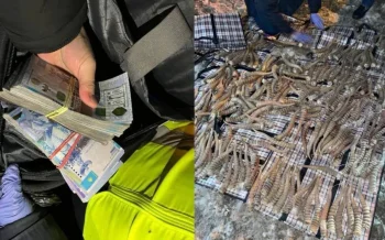 Фото: Полиция