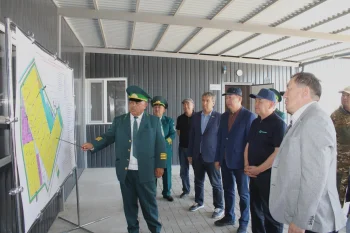 Депутаттар Қазалыдағы тұрақты орман тұқымбағының жұмысымен танысты