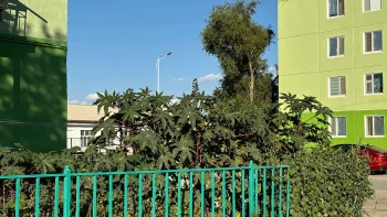 «Үздік аула – 2025» байқауына Қызылорда тұрғындары белсенді қатысуда