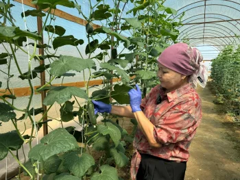 Жыл басынан бері 25,4 млн теңгеге 3 жоба қаржыландырылды