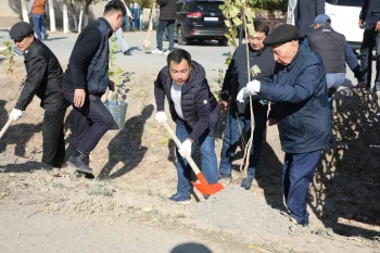«Таза Қазақстан» акциясы аясында аудан бойынша 2500 түп ағаш егілді